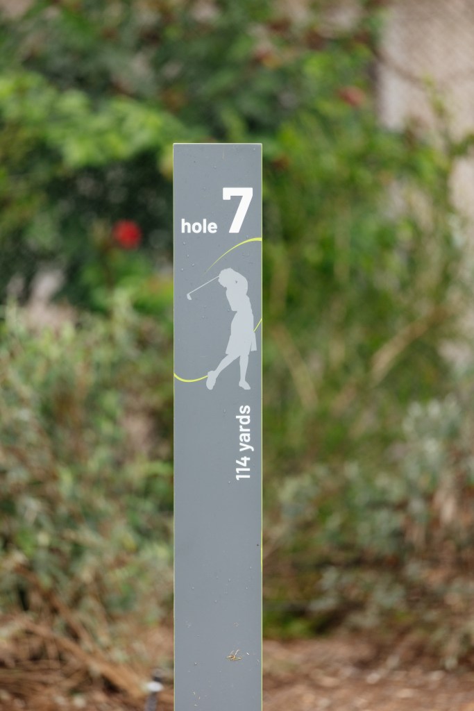 SCGA / Thomas Reiten