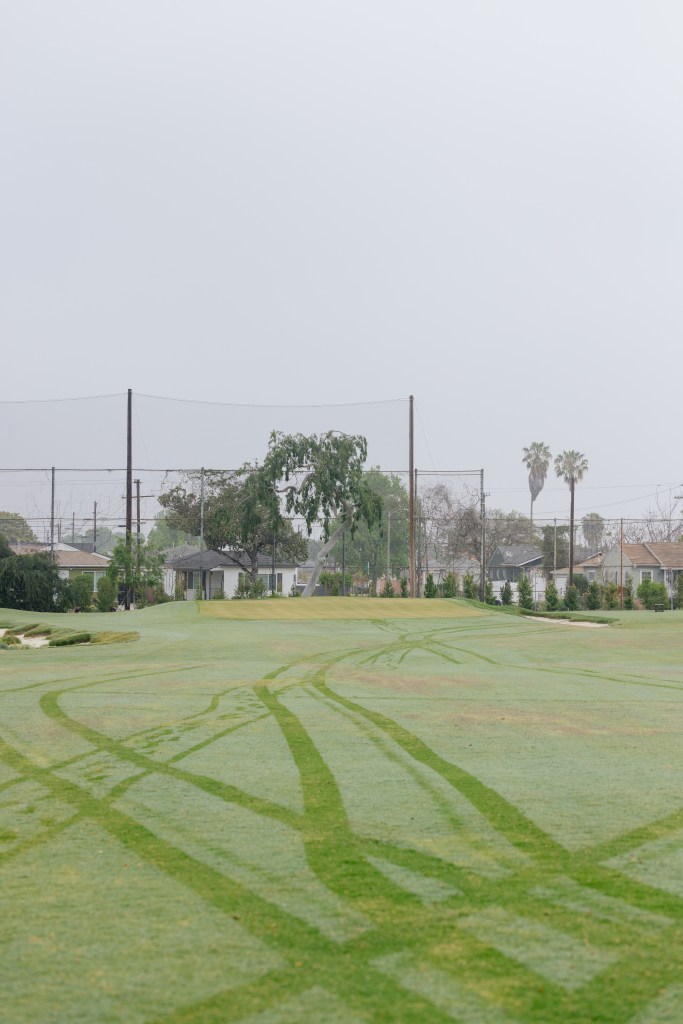 SCGA / Thomas Reiten