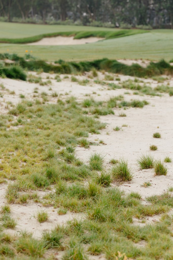 SCGA / Thomas Reiten