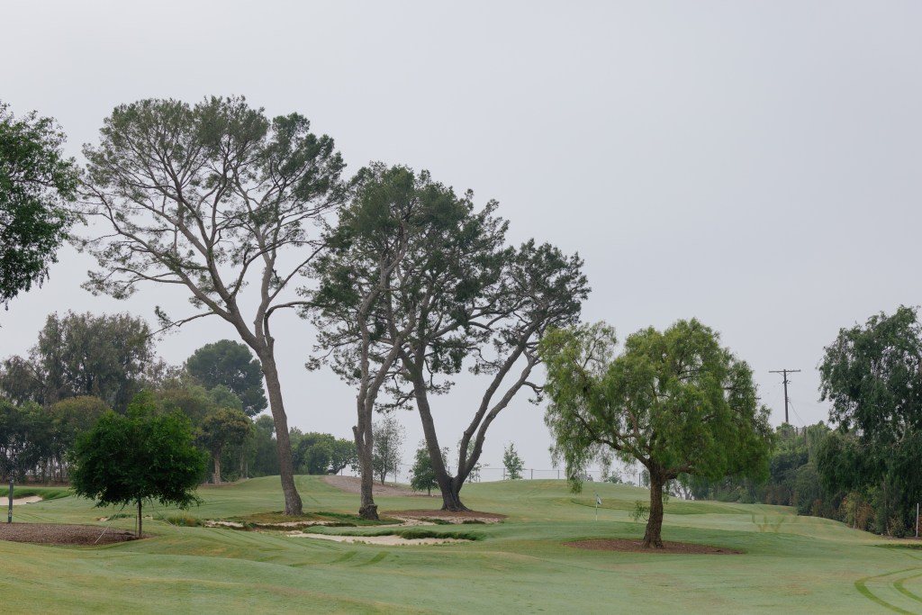 SCGA / Thomas Reiten