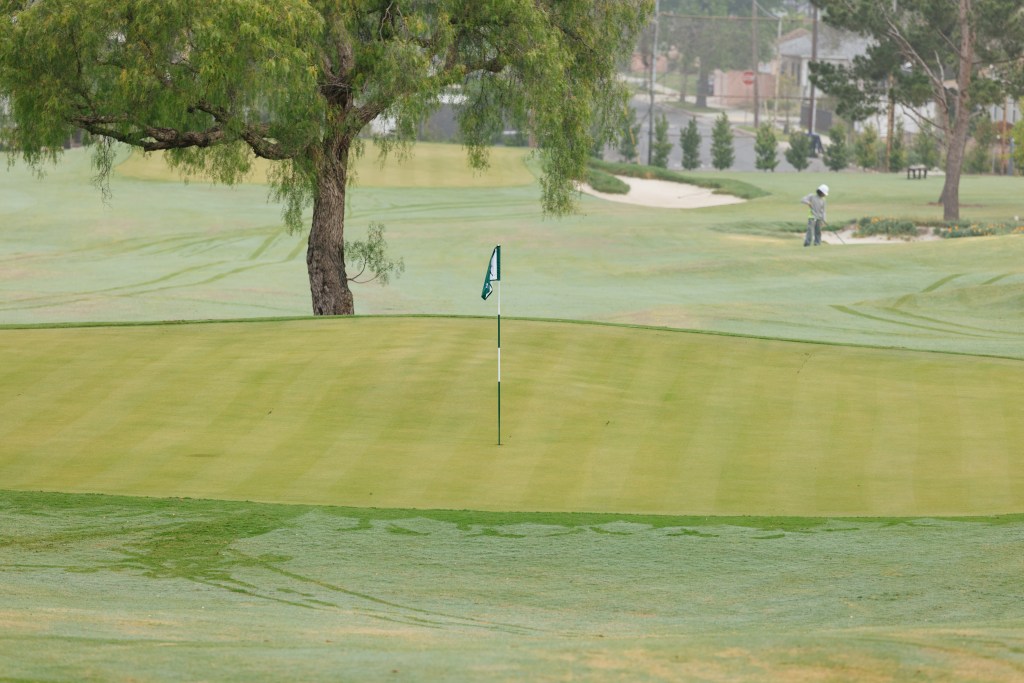 SCGA / Thomas Reiten