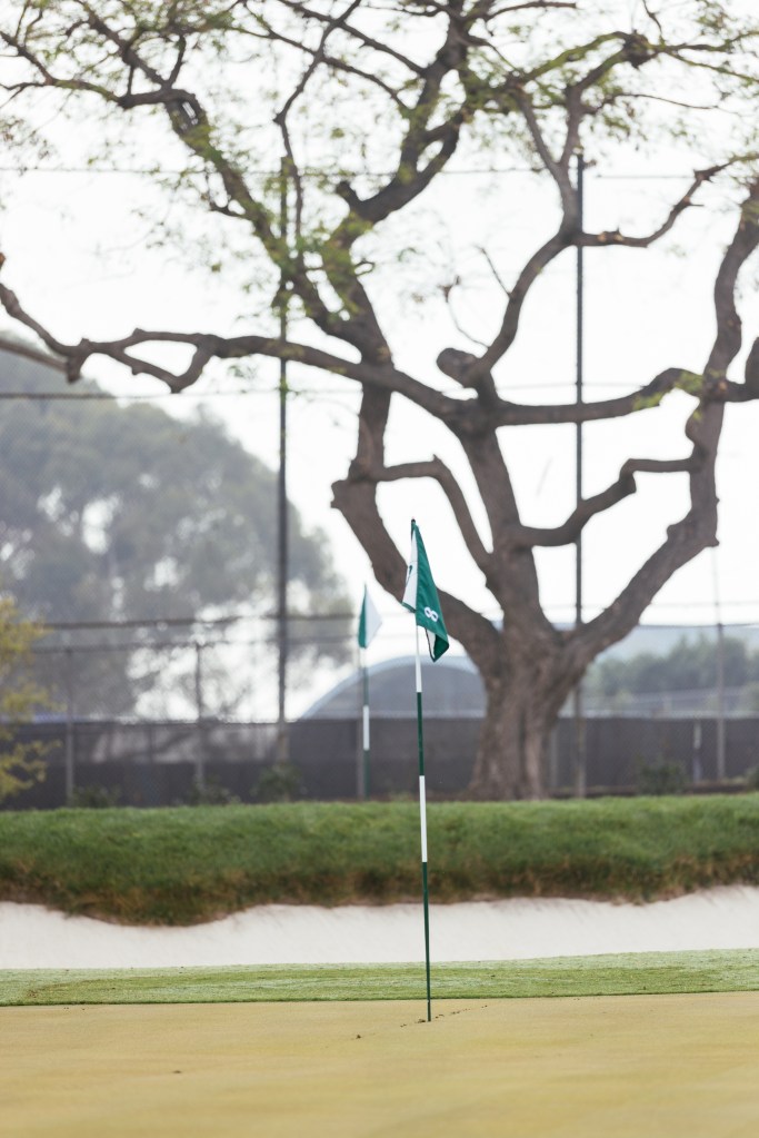 SCGA / Thomas Reiten