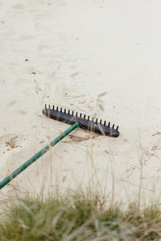 SCGA / Thomas Reiten