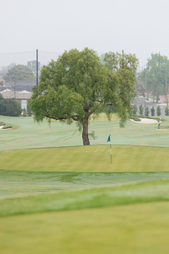 SCGA / Thomas Reiten