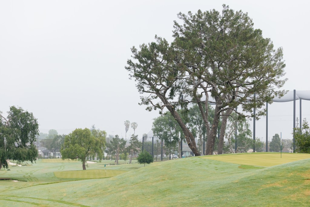 SCGA / Thomas Reiten