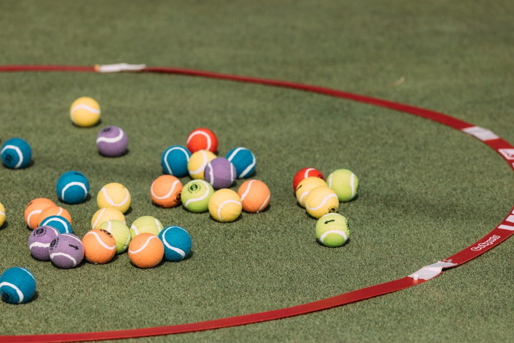 SCGA / Thomas Reiten